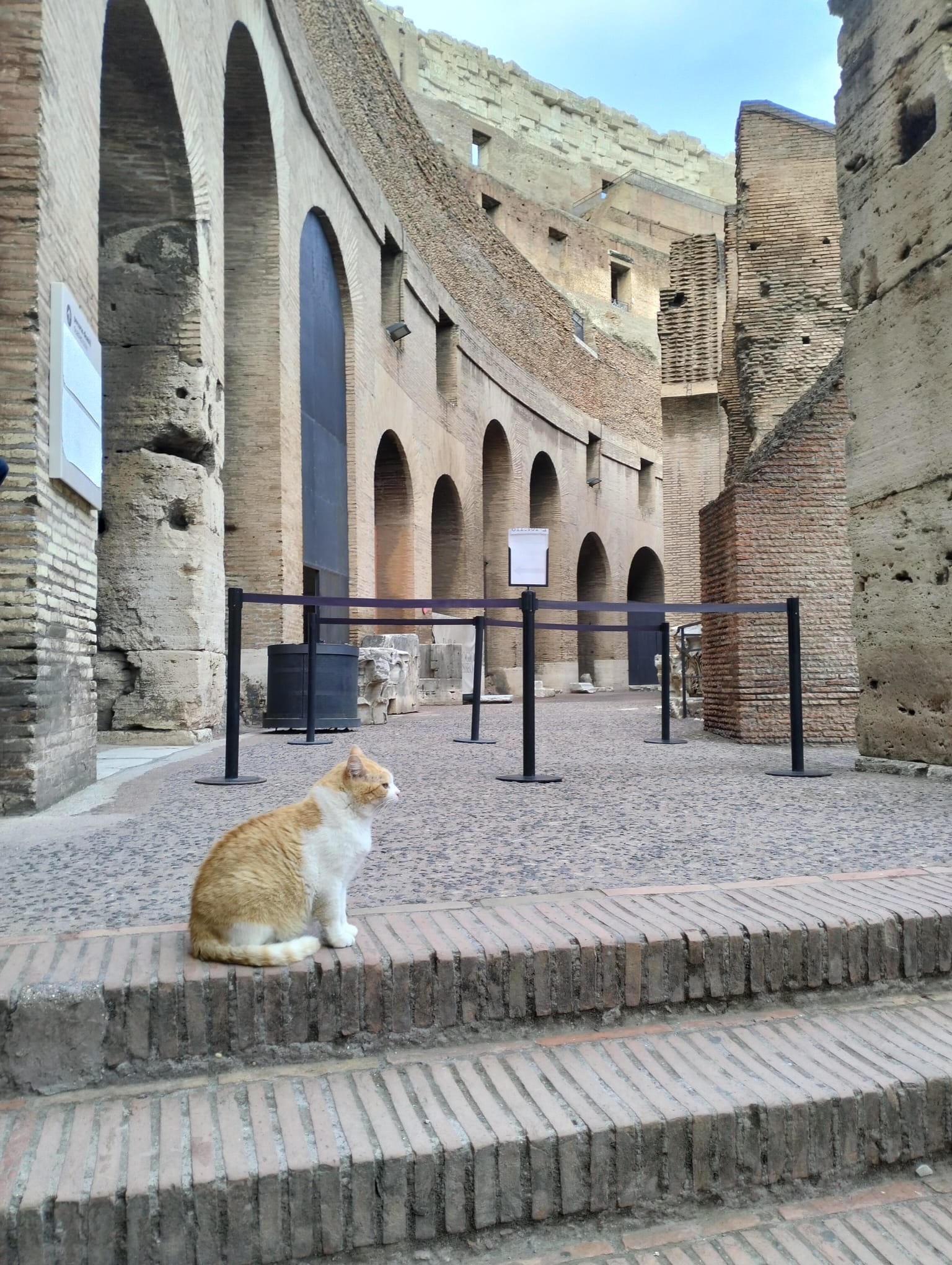 Colosseum, Forum & Palatine photo 3